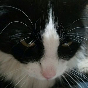 Meet your Posher, Hilary